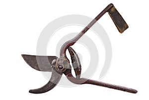 Secateurs photo