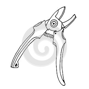 Secateurs, garden tool, hand drawn vector illustration