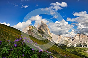 Seceda Mountain peak with green field, Italy, South Tyrol, Dolomites, St.Ulrich in Groeden, Val gardene Dolomites. View