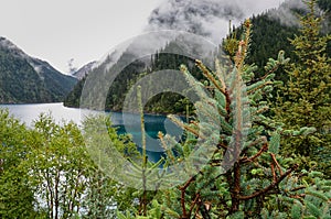 The secenry of Jiuzhaigou national park in China.