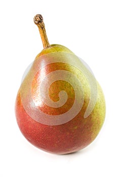 Seckel Pear