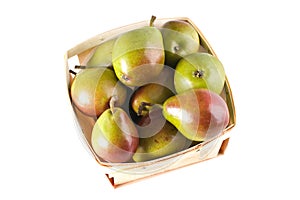 Seckel Pears in Basket
