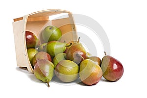 Seckel Pears from Basket