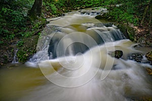 Seclude Mountain Stream