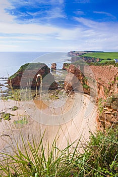 Secluded beach by ocean photo