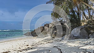 A secluded beach on a tropical island. Dry algae on white sand. Seychelles.