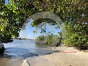 Secluded beach in tropical paradise