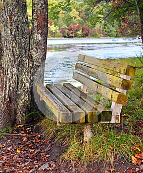 Secluded Bench Besides Bays Mountain Lake