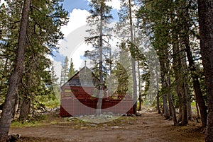 Secluded cabin in forest