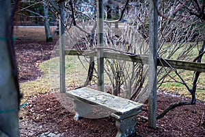 Secluded garden bench