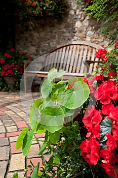 Secluded Garden Seat