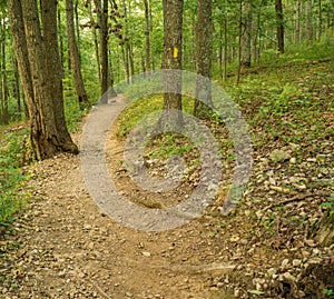 Secluded Hiking Trail in the Blue Ridge Mountains