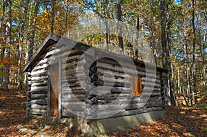 Secluded log cabin photo