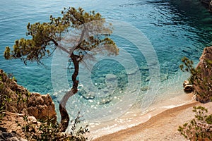 Secluded mediterranean beach with clear turquoise waters, trees, and rocky shoreline