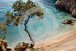 Secluded mediterranean beach with clear turquoise waters, trees, and rocky shoreline