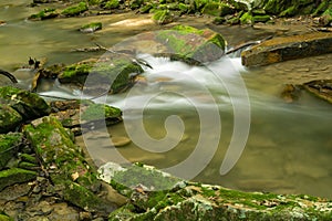 Secluded Mountain Stream