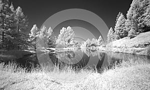 Secluded Peaceful Pond Infrared Mode