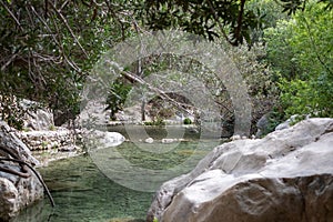 Secluded stream flowing gently through a rocky landscape, framed by overhanging greenery, in a peaceful natural setting.