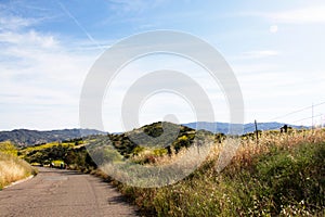 A secluded strech of paved road during a hike in Irvine Open Space Park