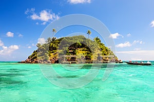 Secluded Tropical Island