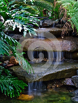 Secluded tropical waterfall