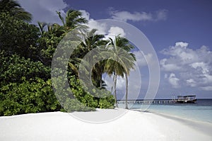 Secluded Tropical white beach, Mirihi, Maldives