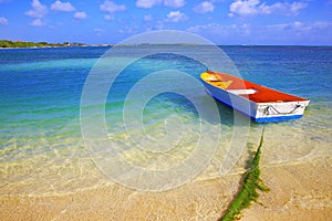 Secluded turquoise beach in Aruba, Caribbean Blue sea, Duth Antilles