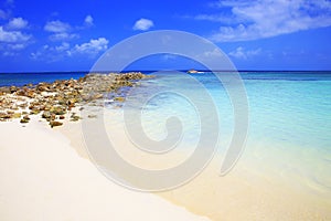 Secluded turquoise beach in Aruba, Caribbean Blue sea, Duth Antilles