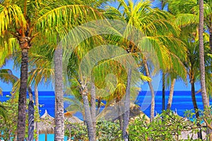 Secluded turquoise beach in Aruba, Caribbean Blue sea, Duth Antilles