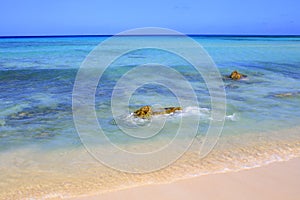 Secluded turquoise beach in Aruba, Caribbean Blue sea, Duth Antilles