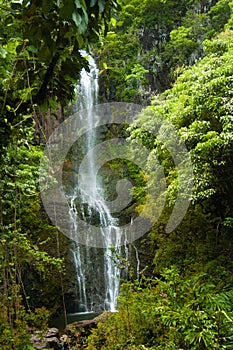 Secluded Waterfall on Hana Highway, Maui, Hawaii