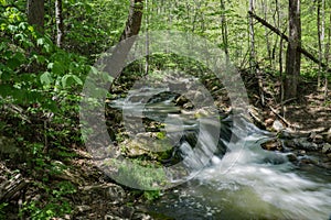 Secluded Waterfall on a Wild Mountain Stream