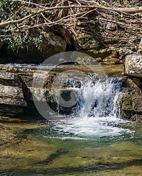 Secluded Wild Mountain Trout Stream on Little North Mountain