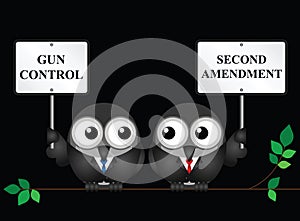 Second Amendment
