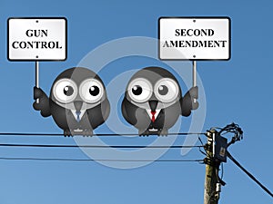 Second Amendment