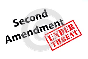 Second Amendment Under Threat