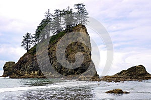 Second Beach in Olympic National Park, Washington, USA