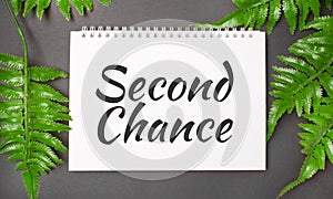 second chance text with real leaves tropical jungle background.flat lay design