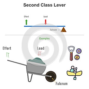 Second class lever with example vector illustration photo