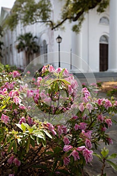 Second Presbyterian Church Charleston, SC