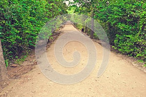 Secondary road path from Angkor`s temple.Cambodia