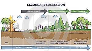 Secondary succession as ecological recovery after wildfire outline diagram