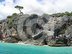 Secret Beach Atauro Timor photo