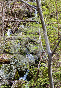 Secret Cascading Mountain Waterfall