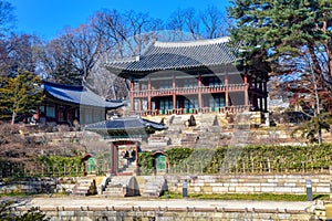 Secret Garden at Changdeokgung Palace