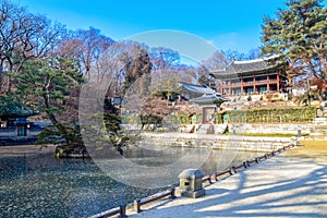 Secret Garden at Changdeokgung Palace