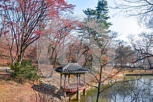 Secret Garden at Changdeokgung Palace