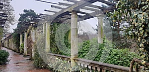 Secret garden in london england winter