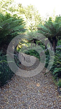 Secret garden pathway