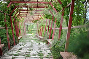 Secret Garden in Spring Sunny Day